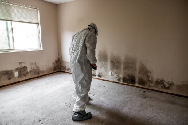 Forensic Mold Investigation in Silt, CO